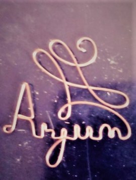 21729263_1468372999917134_210907779_n2